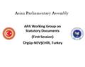 APA Working Group on Statutory Documents (First Session)