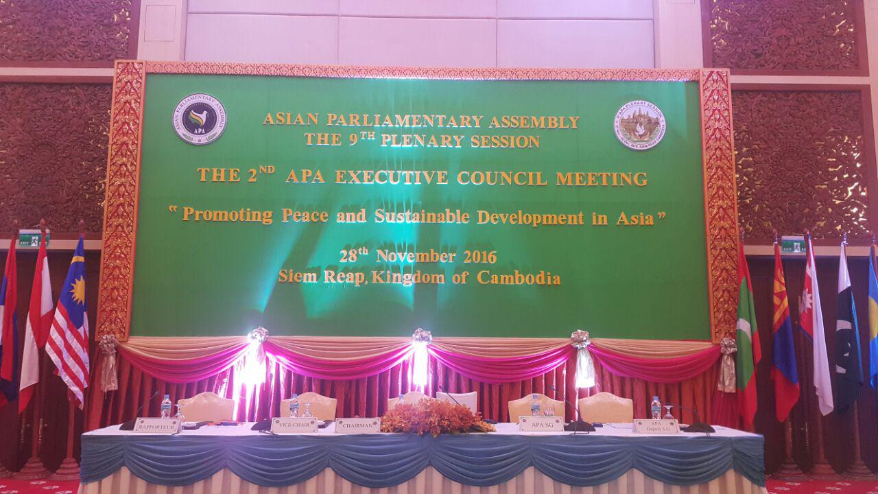 The 2nd APA Executive Council Meeting