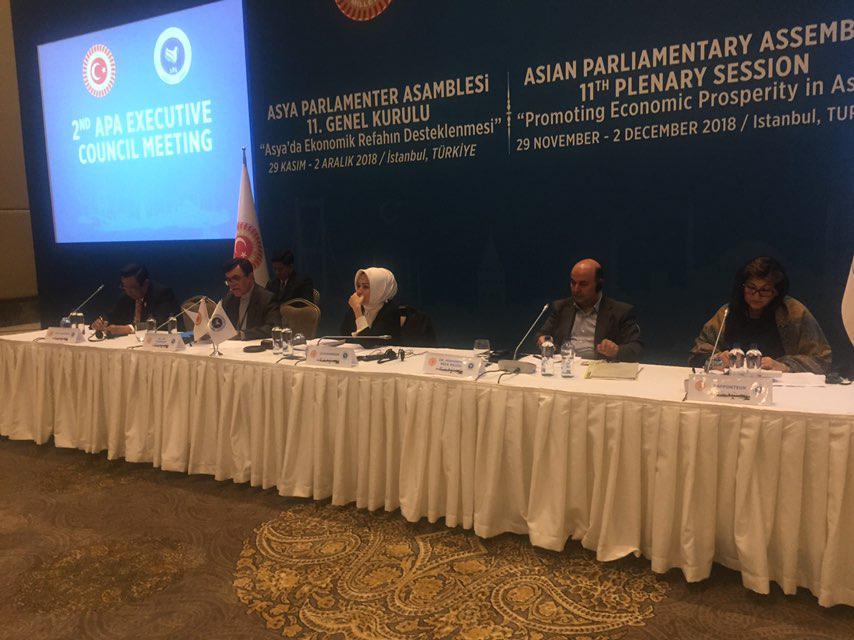 APA Second Executive Council Meeting-29 November 2018-Istanbul, TURKEY